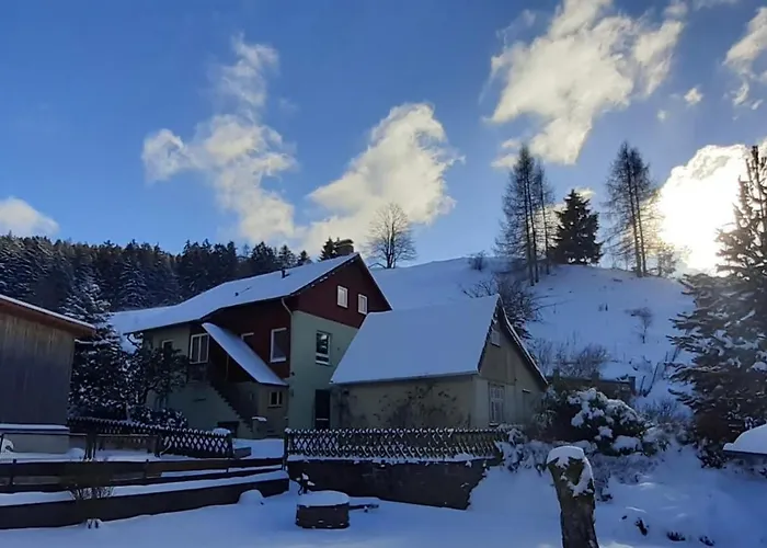 Platell Ferienhaeuser Harz Holiday home Lerbach