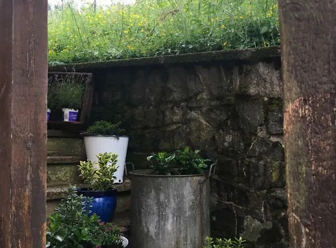 Platell Ferienhaeuser Harz * Lerbach